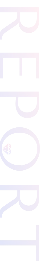 レポート部分 サイド装飾