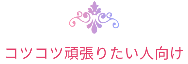 コツコツ頑張りたい人向け