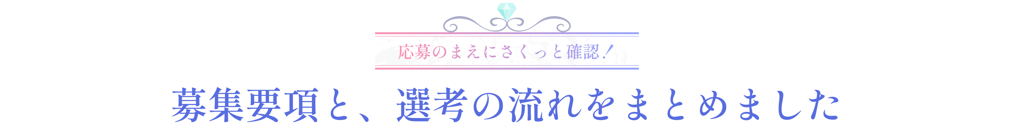 募集要項と、選考の流れをまとめました
